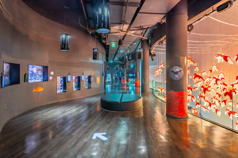 Les salons de l'Aquarium de Paris