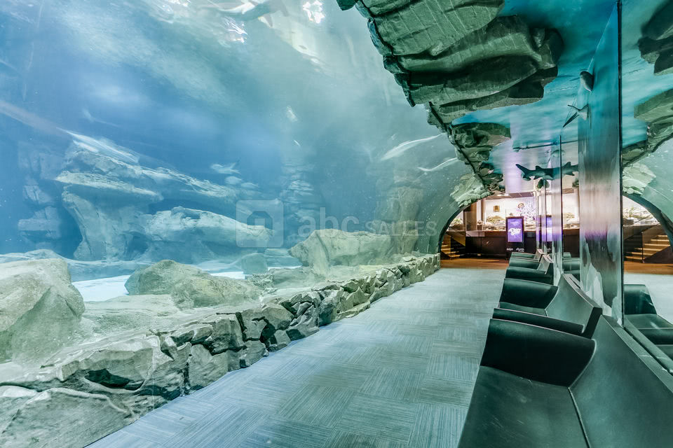 L'Aquarium