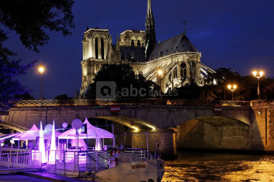 Vue sur Notre-Dame Paris