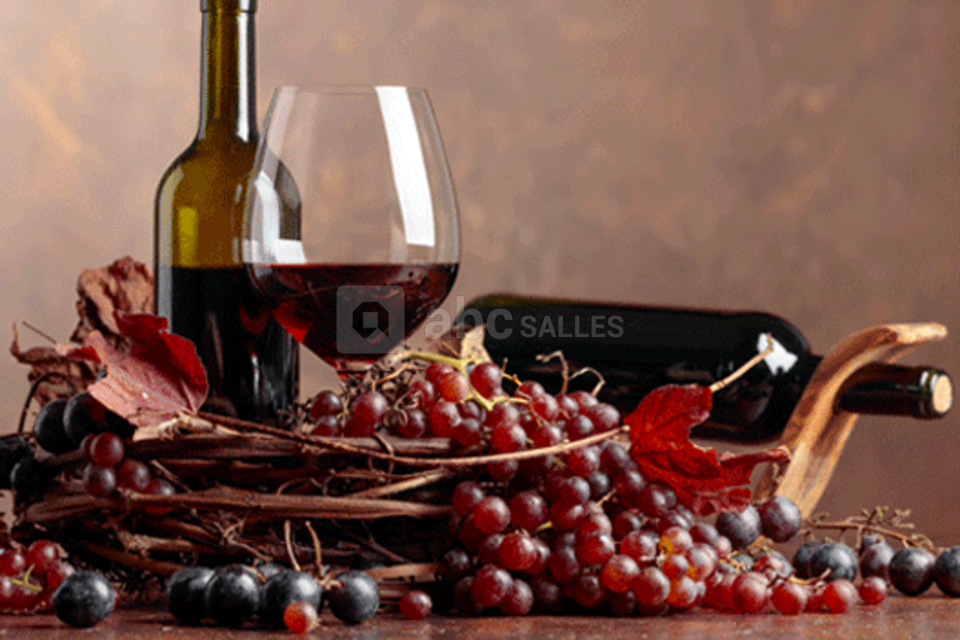 Vinothèque de Bordeaux