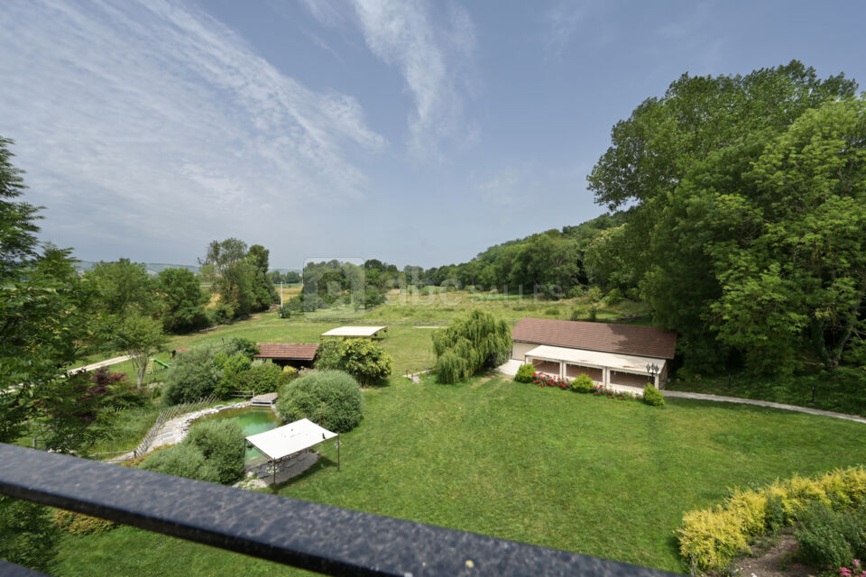 Domaine du Moulin Piongo