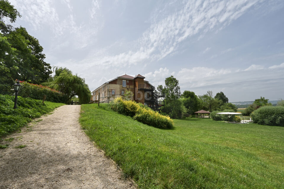 Domaine du Moulin Piongo