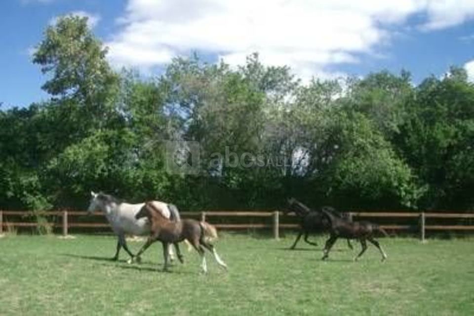 Le Château d'Émalleville