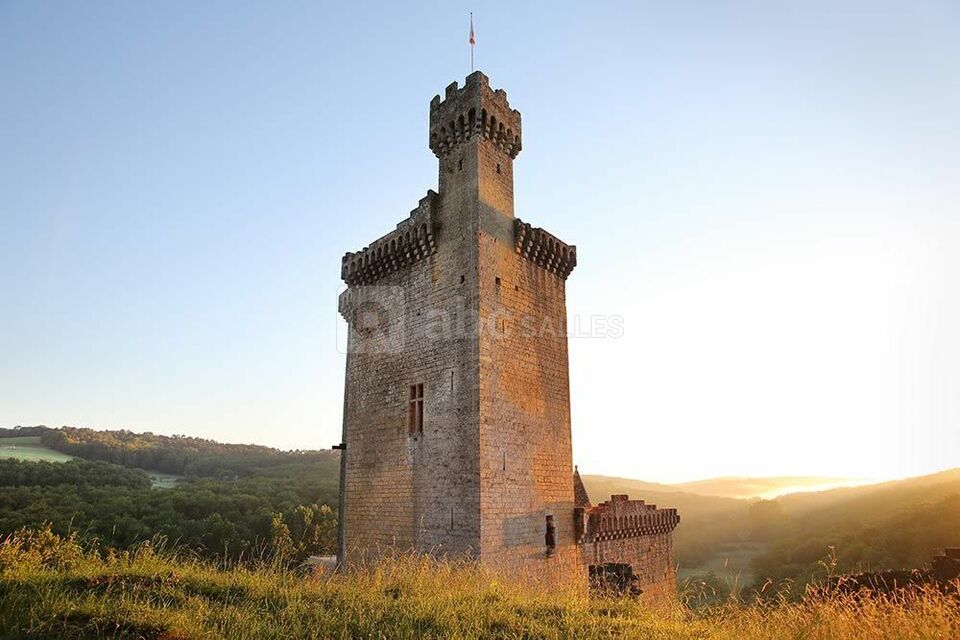 Château de Commarque