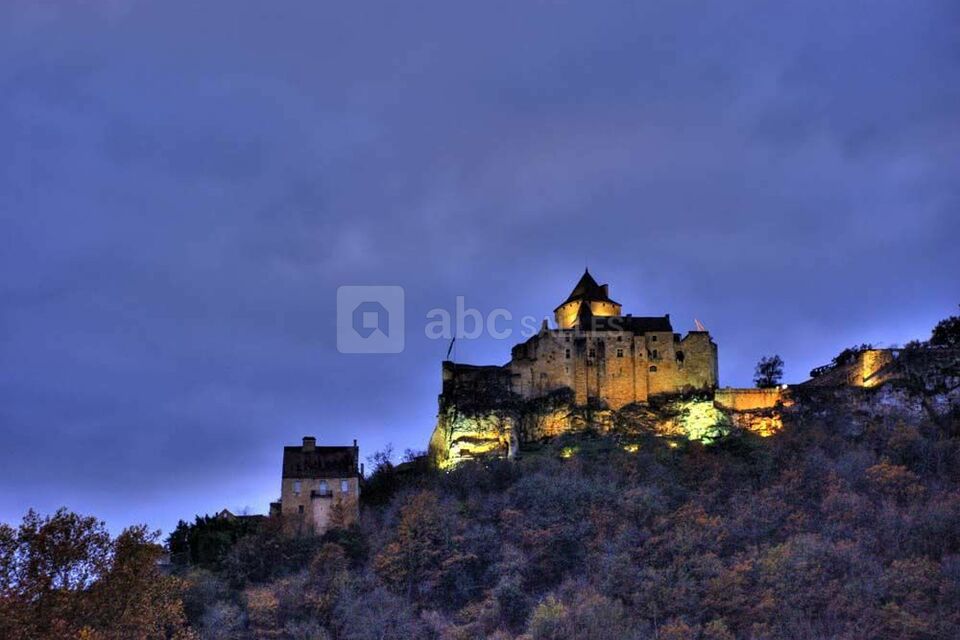 Château de Castelnaud