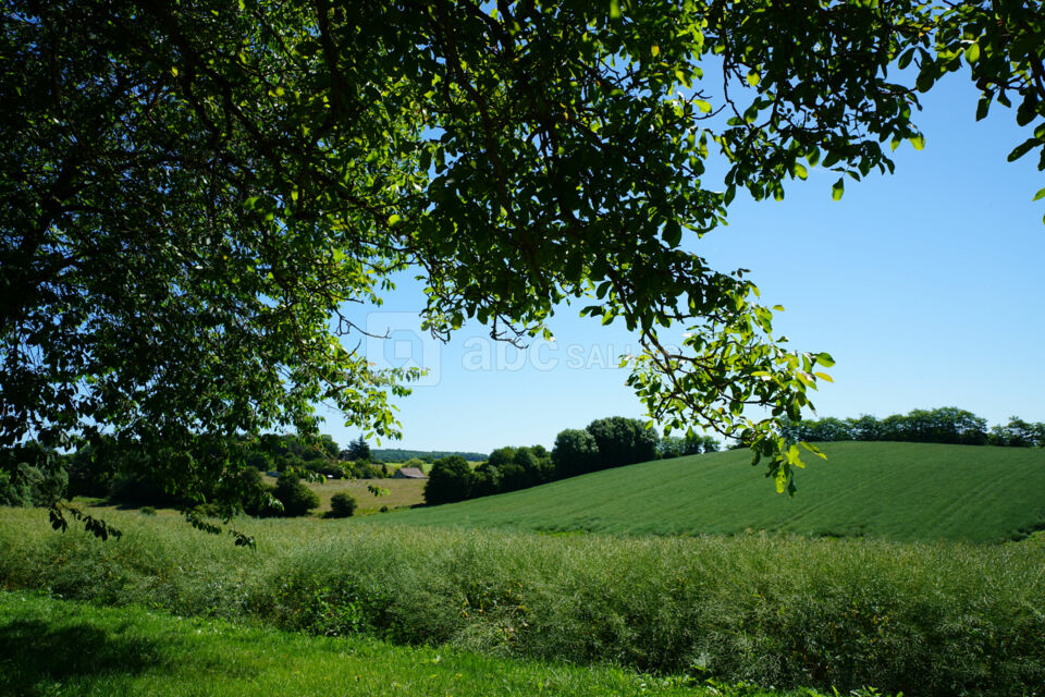 Domaine des Écuries