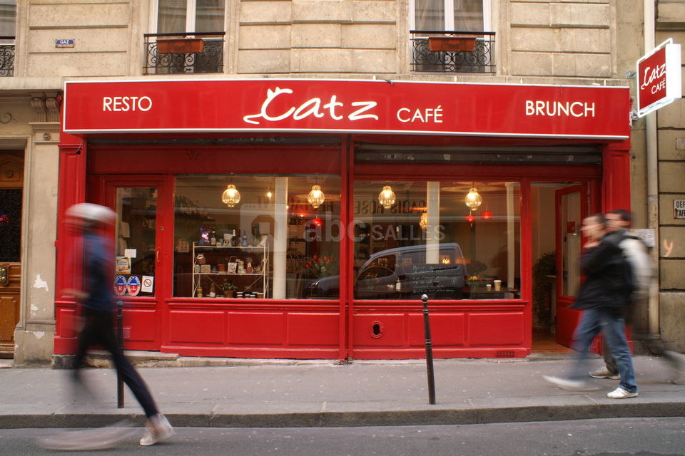 Catz Café
