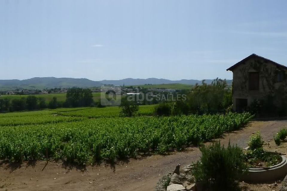 Domaine du Tane