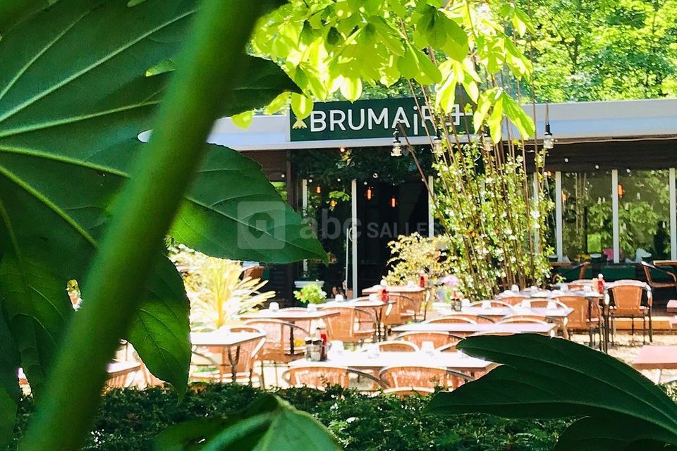 Le Brumaire