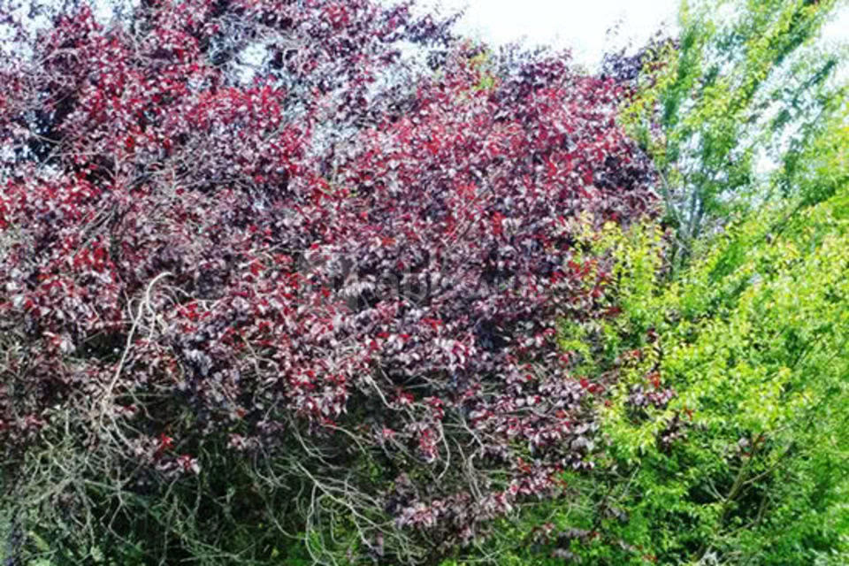 Domaine de Monadière