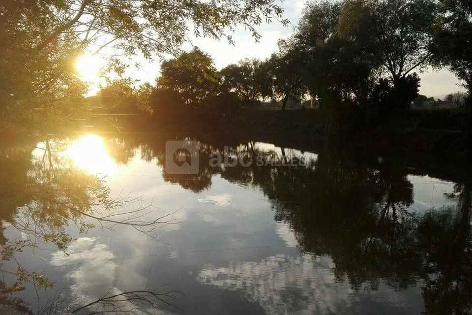 L'étang