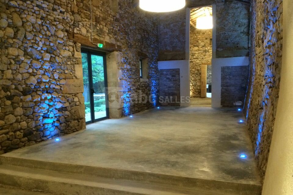 Piste de danse et animations