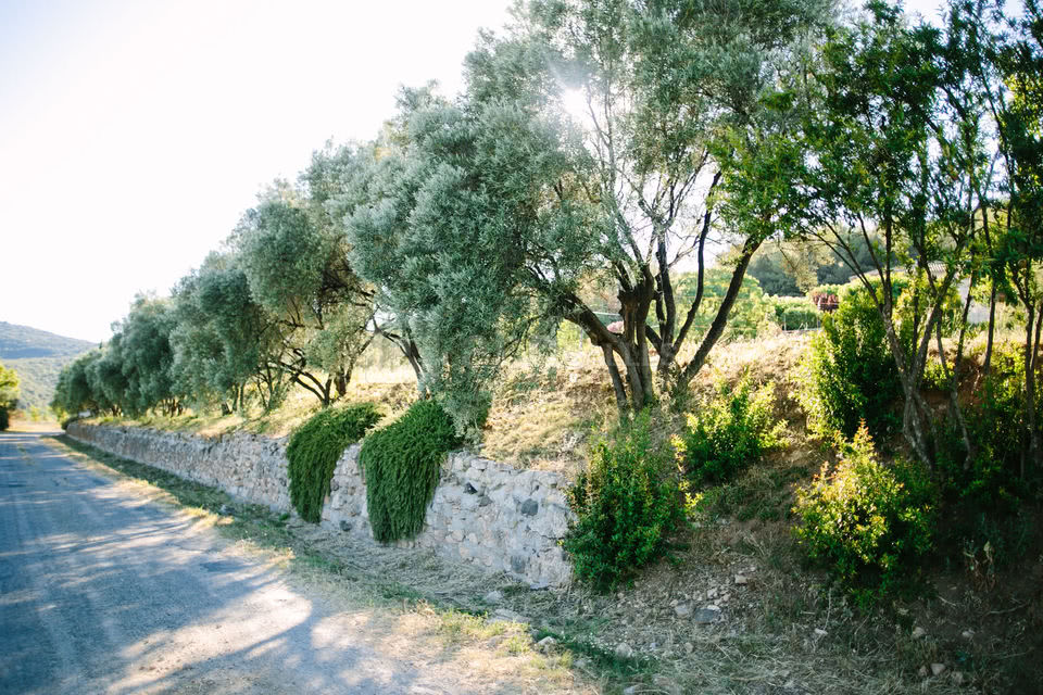 Le Mas des Oliviers