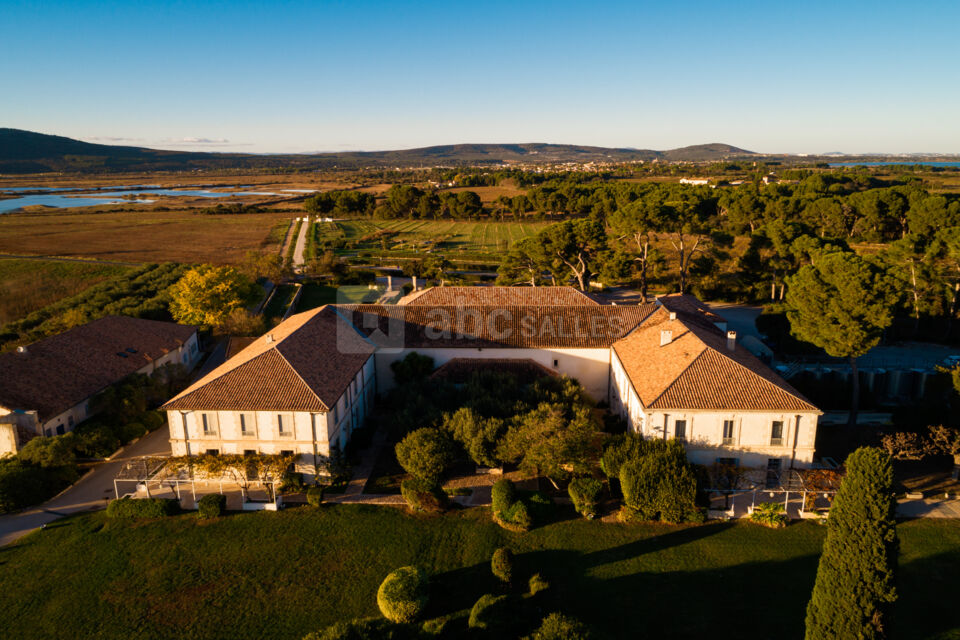 Domaine du Mas Neuf