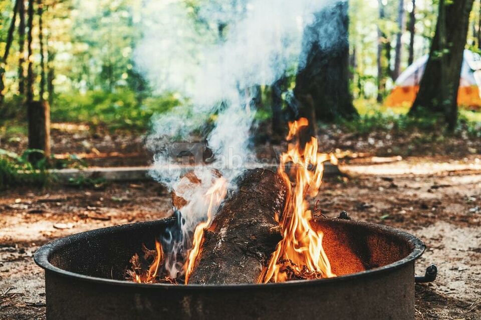 Feu de bois