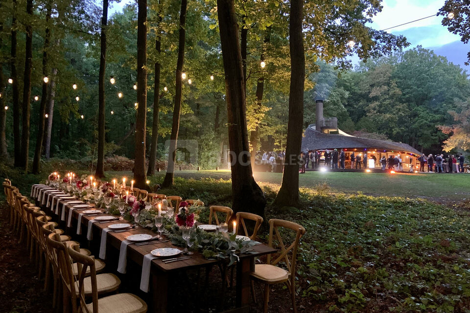 Mariage en forêt