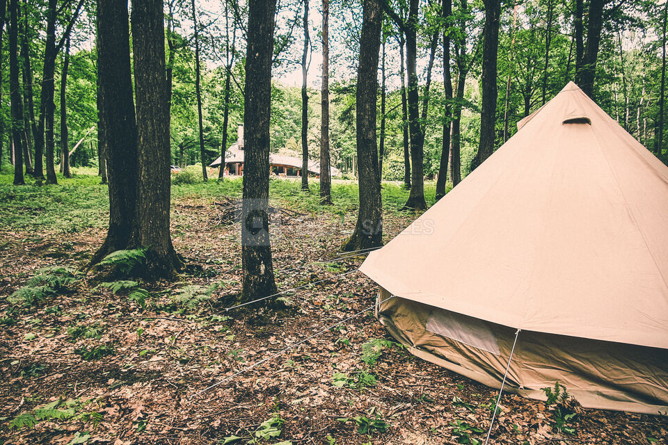 Survie en forêt