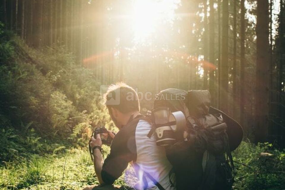 Survie en forêt