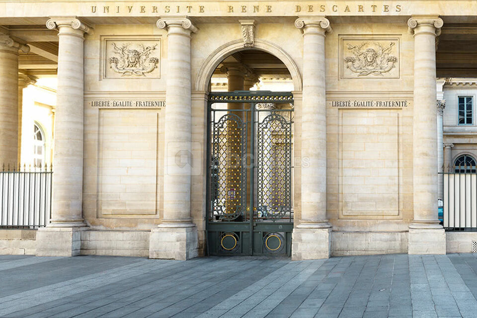 Université Paris Descartes