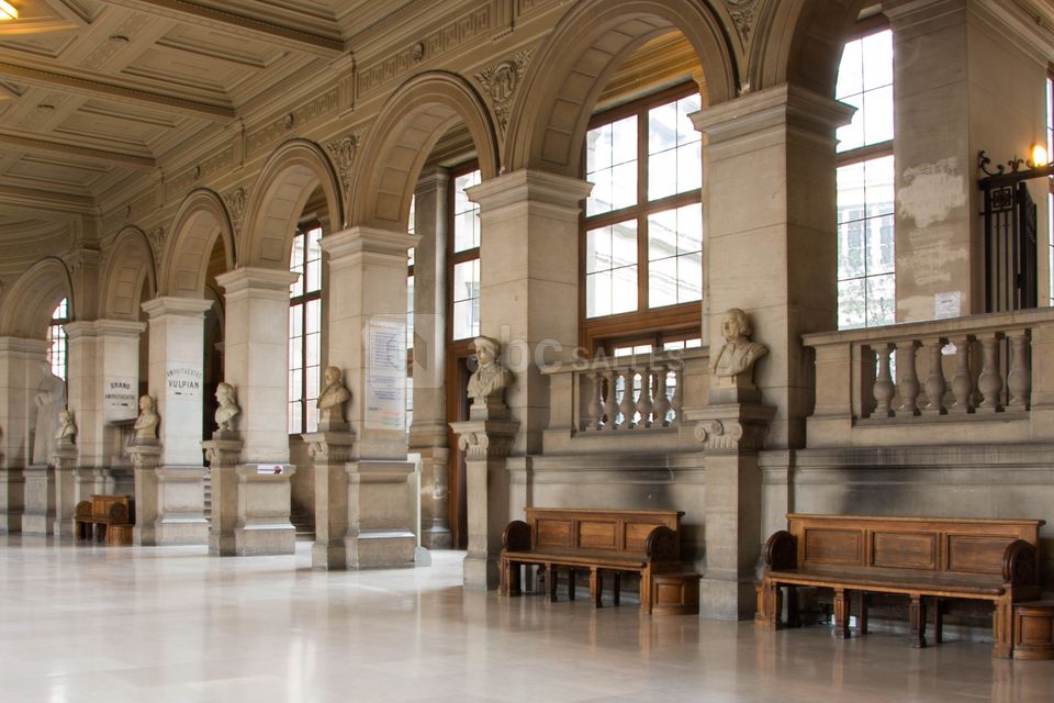 Université Paris Descartes