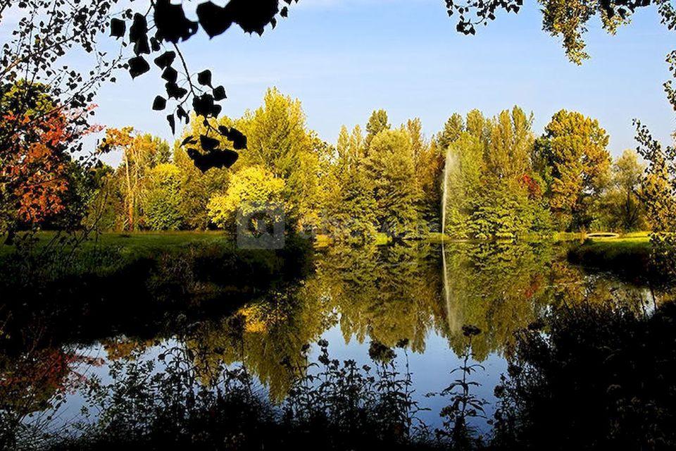 Château Larrivet Haut-Brion