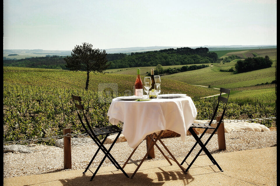 Domaine Jean-Marc Brocard
