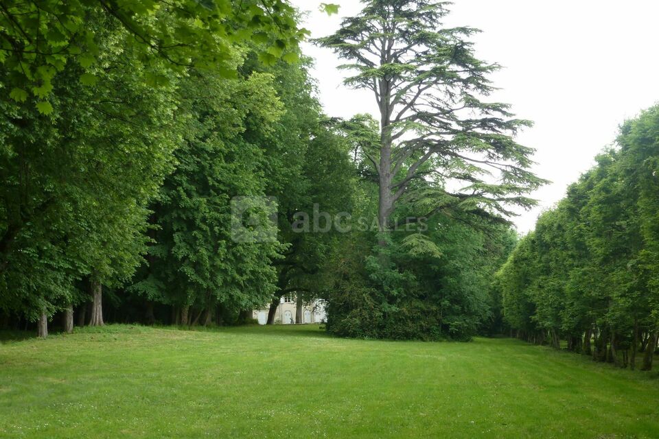 Château de Voltaire
