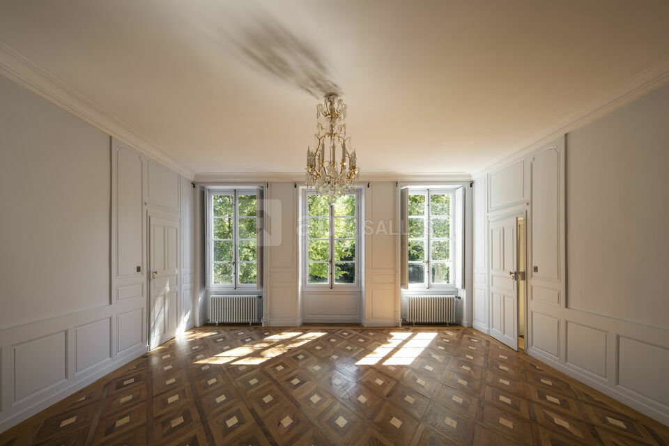 Château de Voltaire