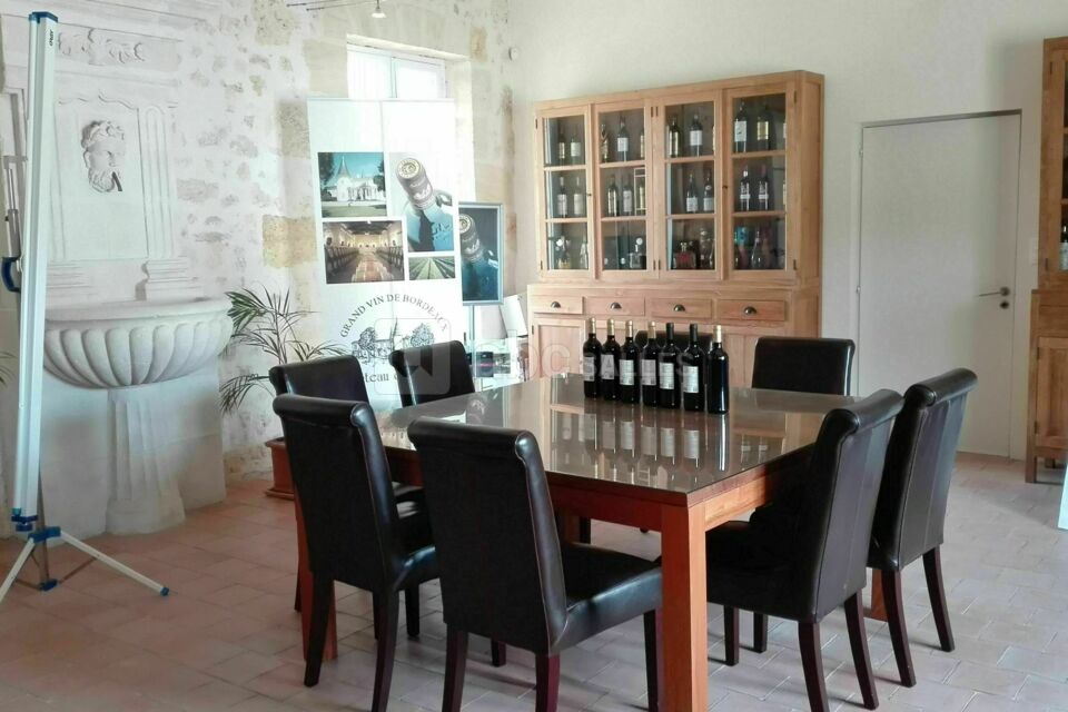 Château de Seguin