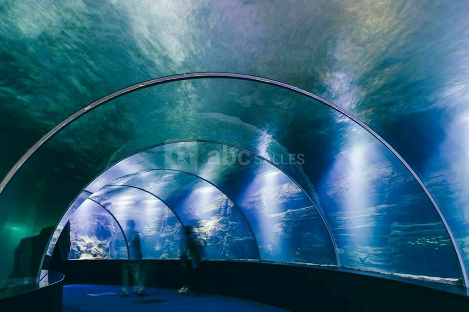 Le Tunnel de la haute mer