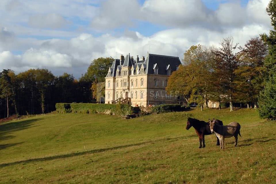Château des Faugs
