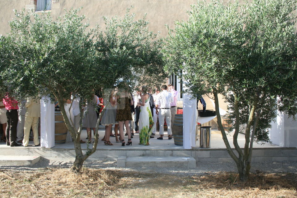Le jardin