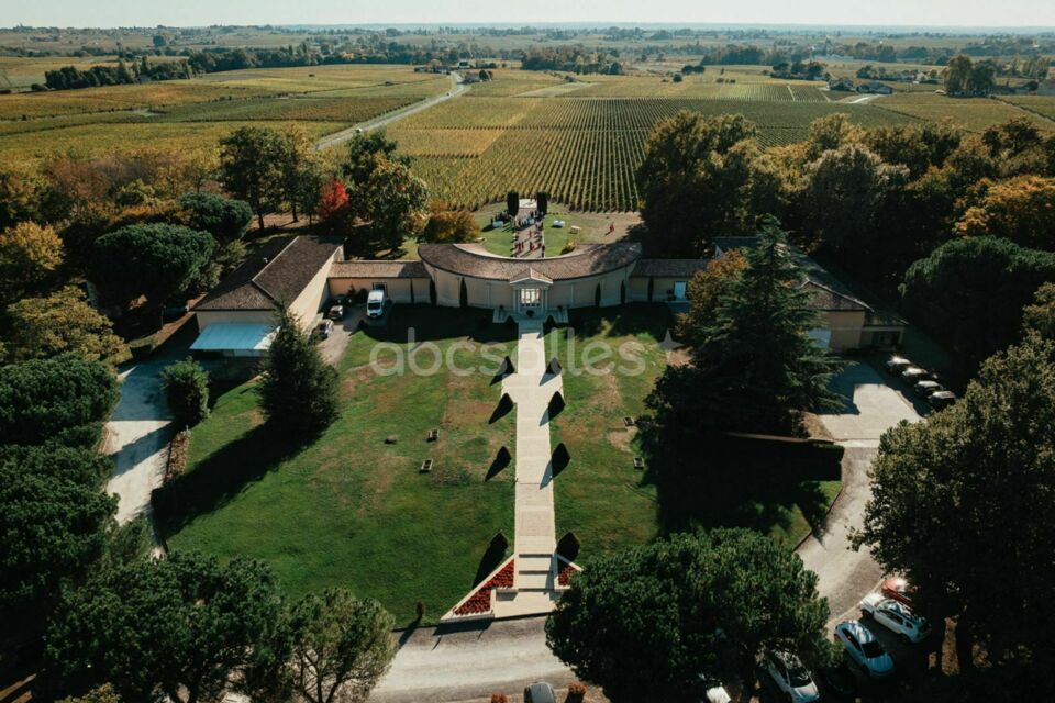 Vignobles Chatonnet Château Haut-Chaigneau