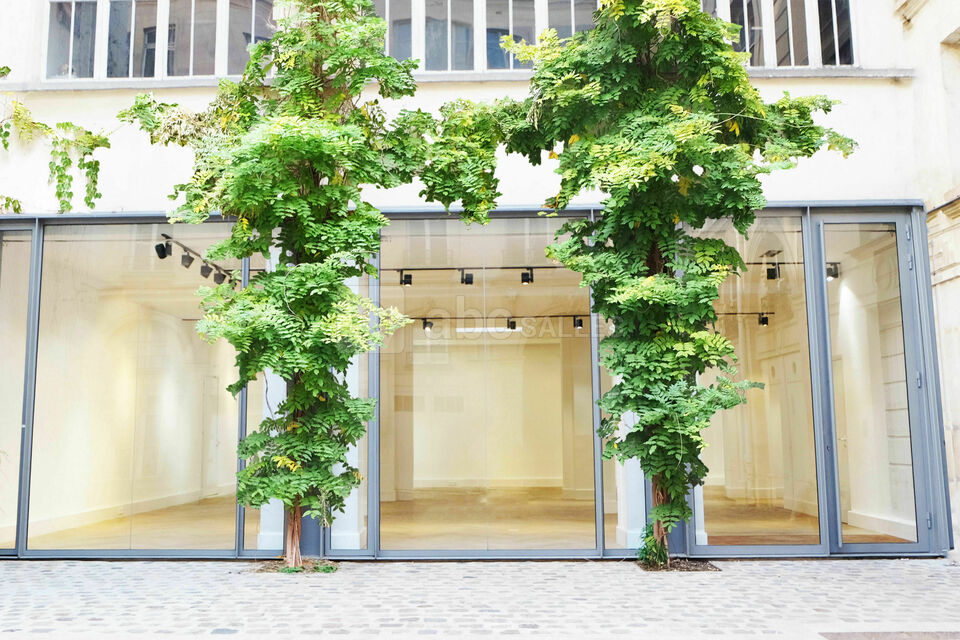 Galerie Joseph Braque