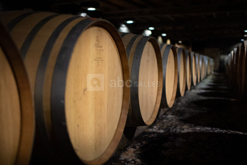 Chai à barriques - atelier - Domaine de la Grave