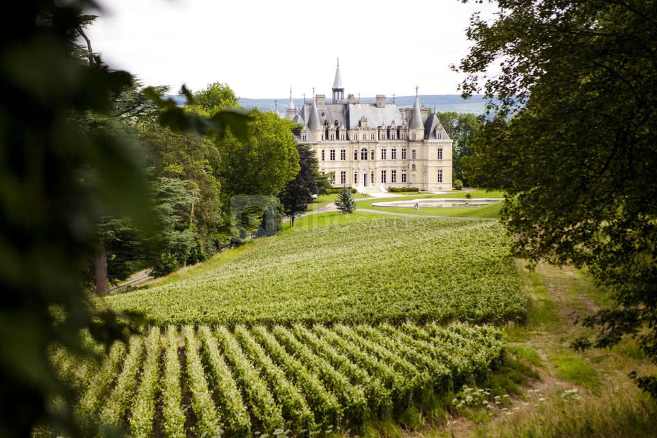 Chateau de Boursault