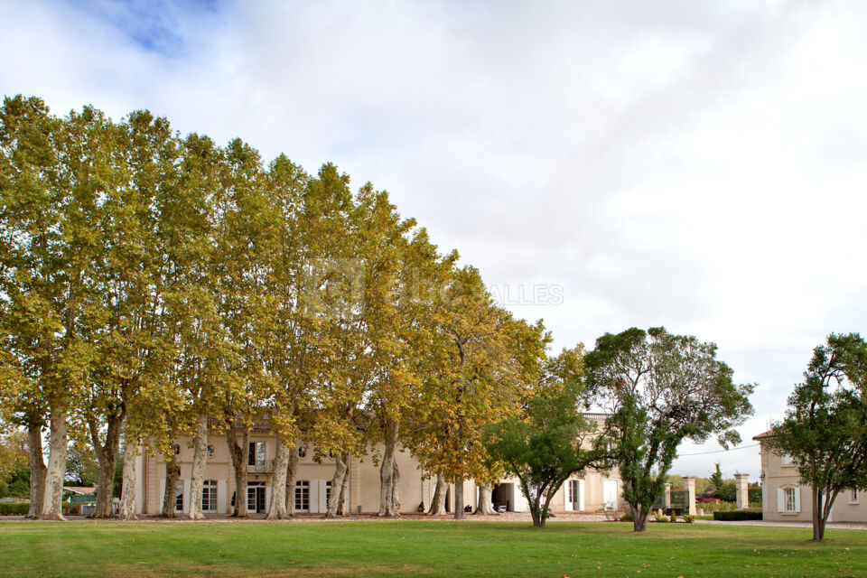 Le parc du Château - jour