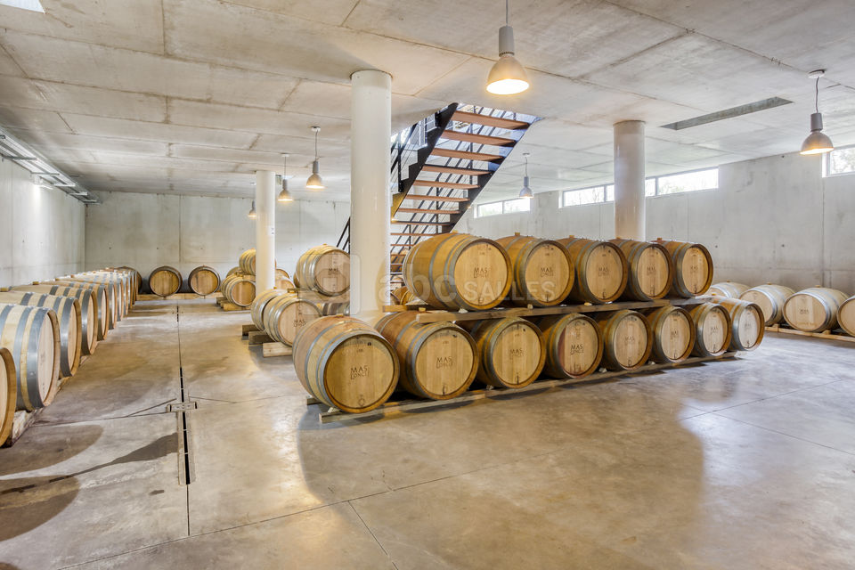 Le chai à barriques