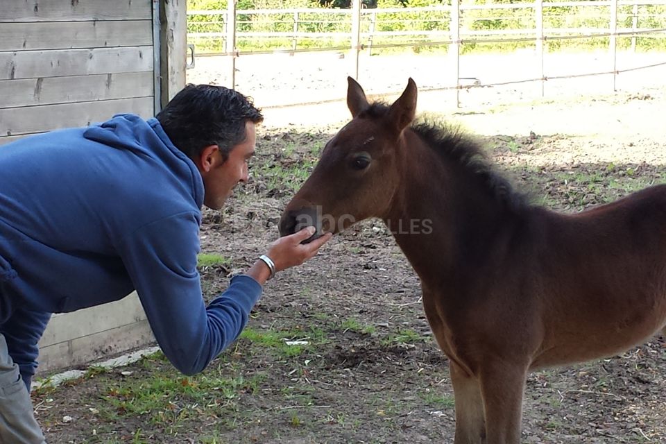 Le Domaine du Bois de Maulny