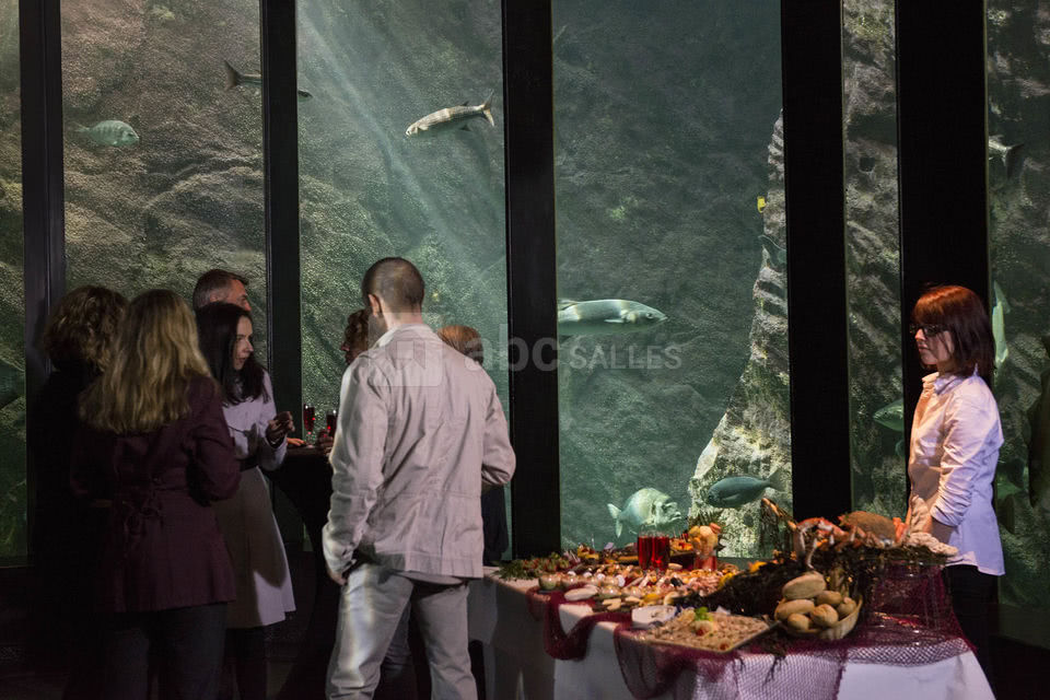 Océanopolis - Brest (29) - Cocktail au milieu des aquariums