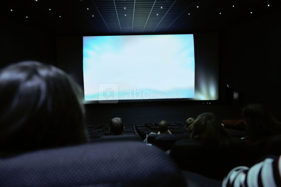 Séminaire en salle de cinéma