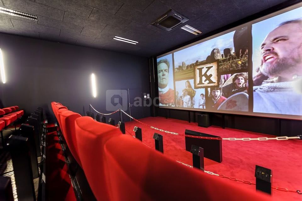 Salle de cinéma/conférence