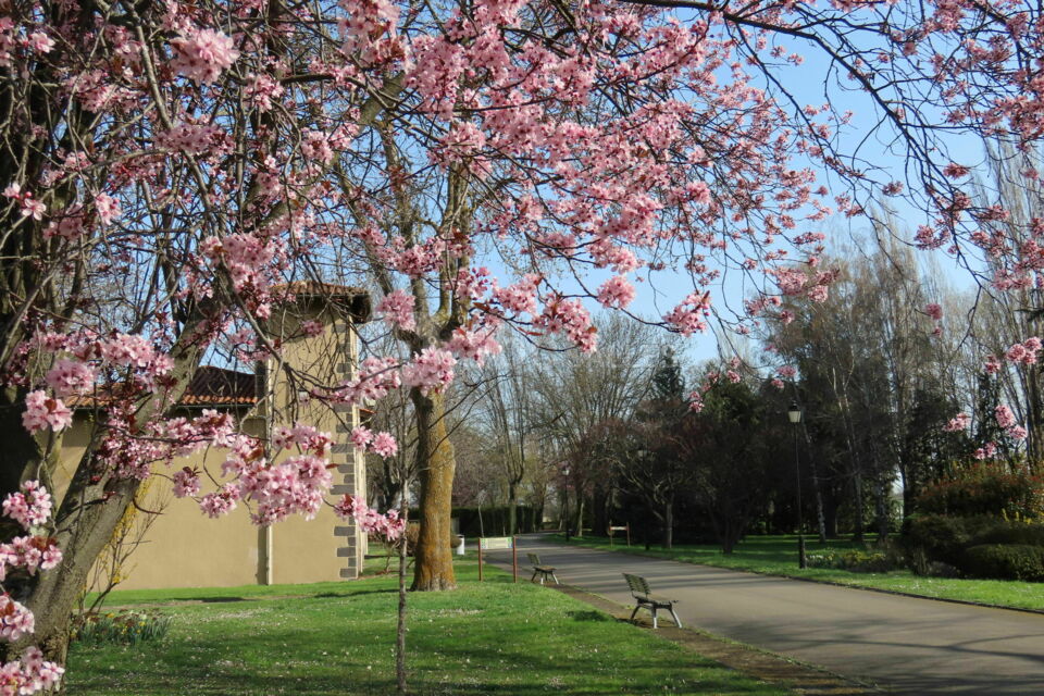 Domaine de la Prade