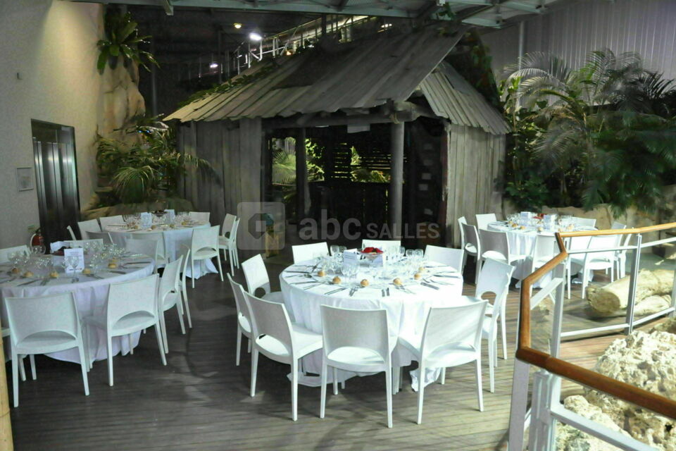 Forêt tropicale