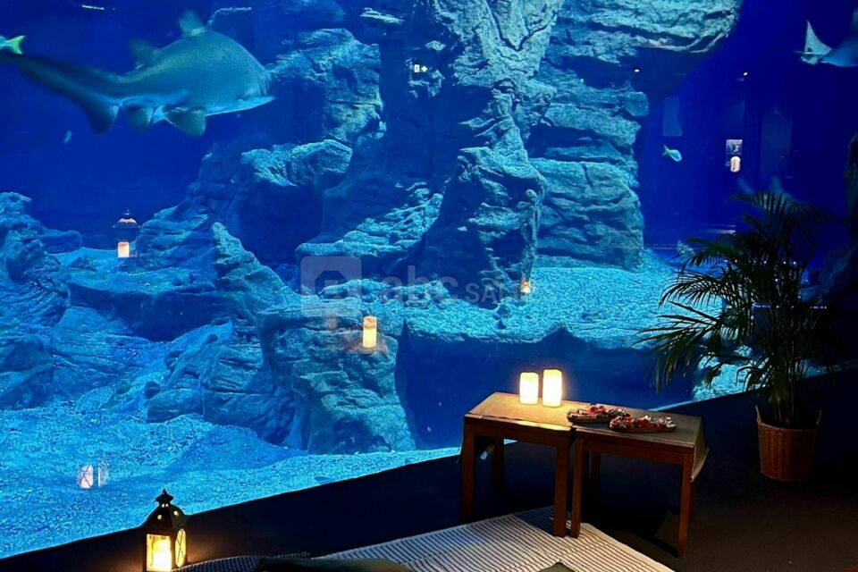 Planet Ocean Montpellier