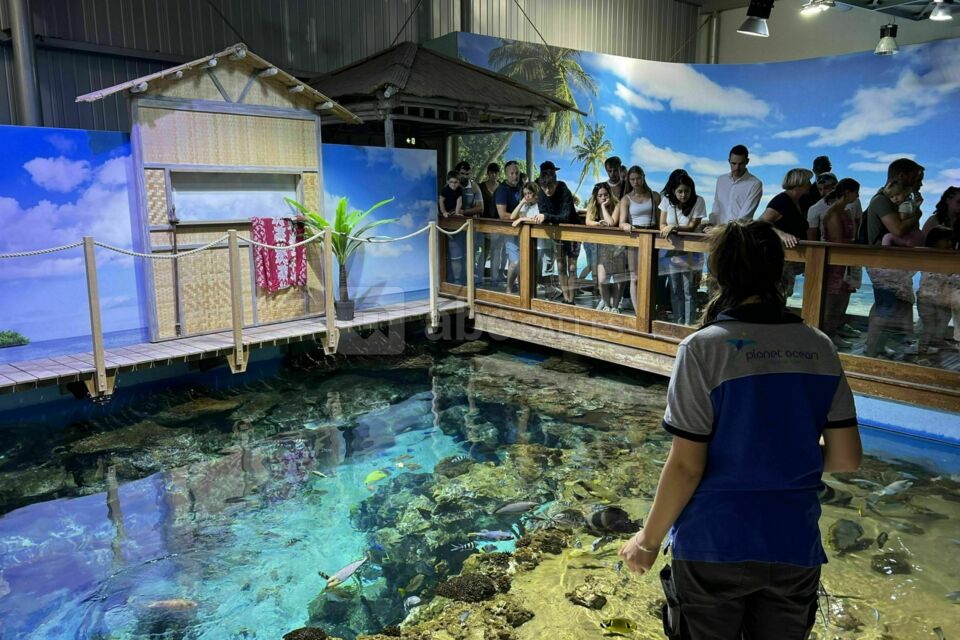 Planet Ocean Montpellier