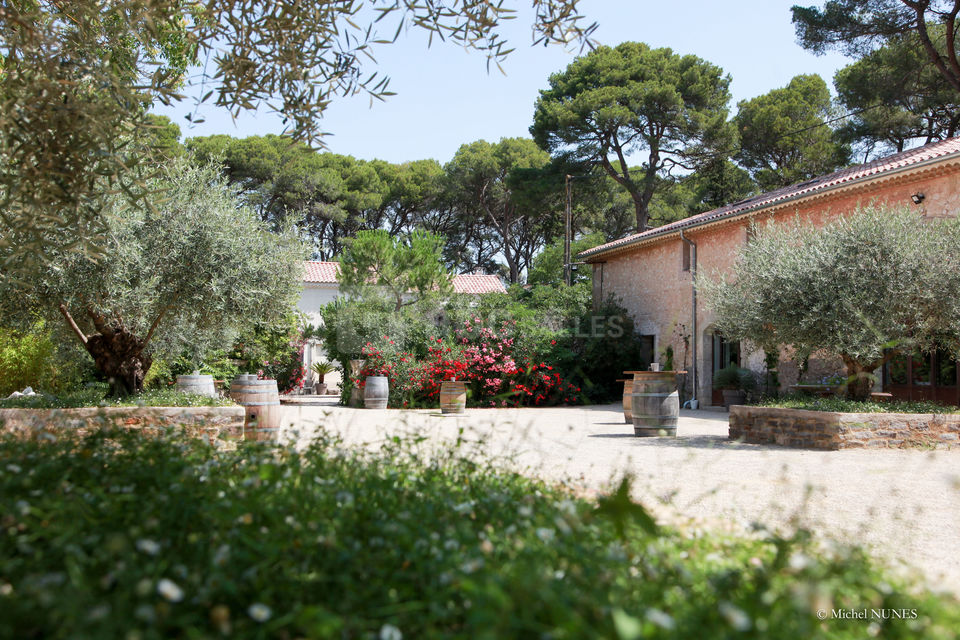 Cour principale