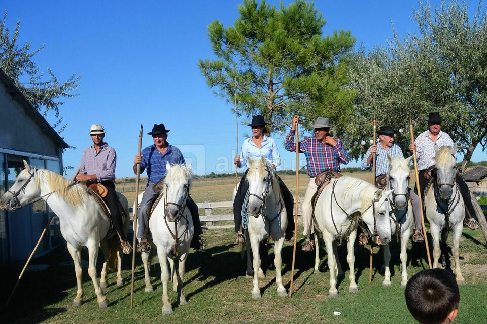 Haie d'honneur des gardians