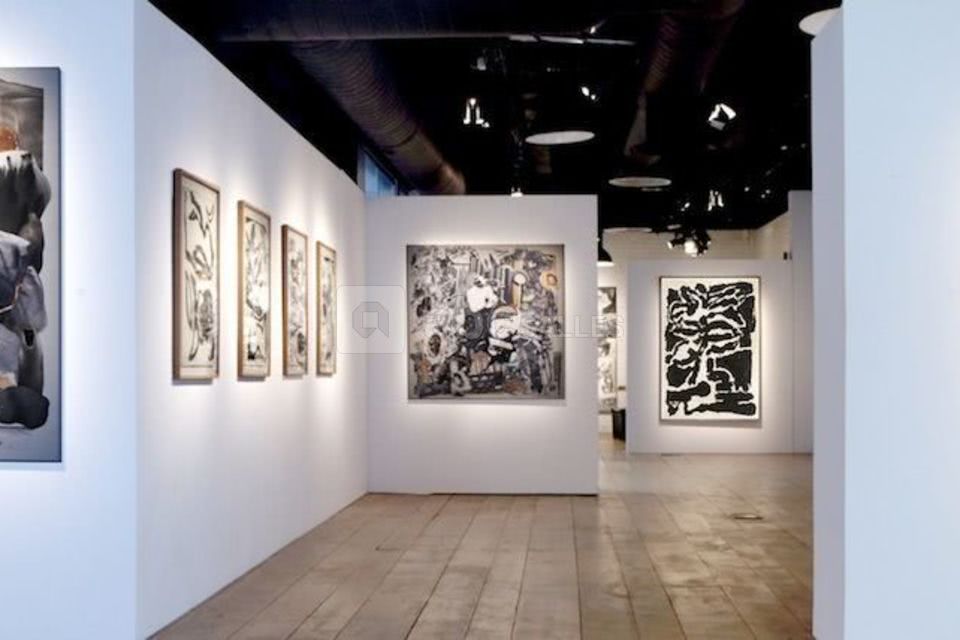 Galerie Univer Colette Colla