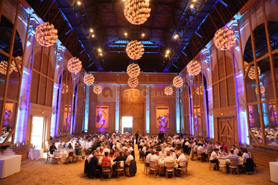 Manège dressé en diner assis